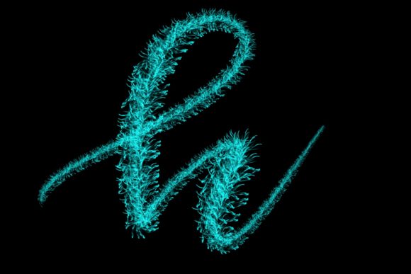 Elevate Lettering with Confer Design 2 Last
