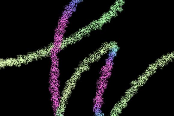 Elevating Digital Lettering: The Strategic Value of the Fuzz Chalk Light Brush in Modern Design Workflows