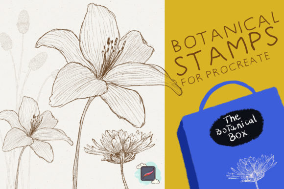 The Procreate Botanical Box: A Creative Guide